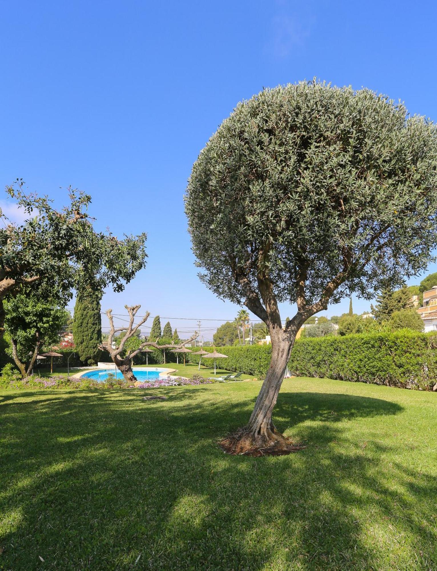 Retiro Sol - Apartamento Montesol B22 Denia Luaran gambar